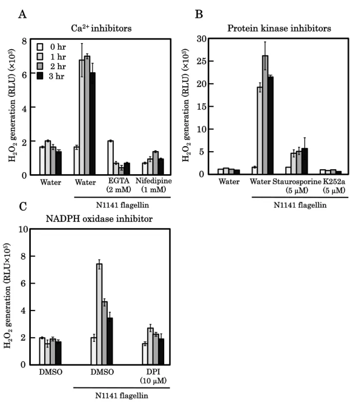 Fig. 1 活性酸素発生へのCa 2+ 阻害剤、キナーゼ阻害剤、NADPH oxidase阻害剤の影響  