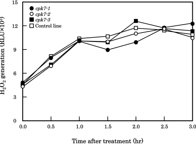 Fig. 9  OsCPK7  RNAi抑制形質転換培養細胞を用いた活性酸素発生量測定 