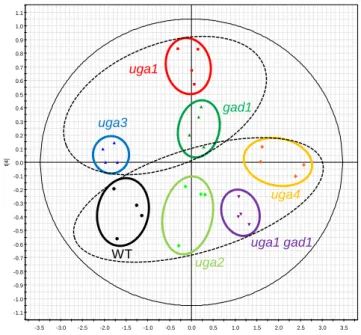 Figure 2.4 Orthogonal projection on latent structure-discriminant analysis (OPLS-DA)  of  1 H-NMR spectra of GABA metabolic pathway mutants