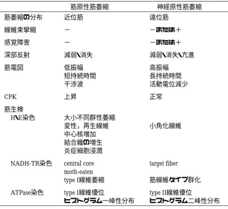 図 4-30 重症筋無力症のwaning phenomenon (A)と 筋無力症候群の waxing phenomenon (B)AB を呈する。主病変は筋線維の壊死とそれに伴う貪食現象である。筋線維直径は大小不同となる。また、Duchene型の PMD では、下腿の仮性肥大がみられ、これは筋線維の肥大よりも脂肪組織の増殖の影響が推定されている。b