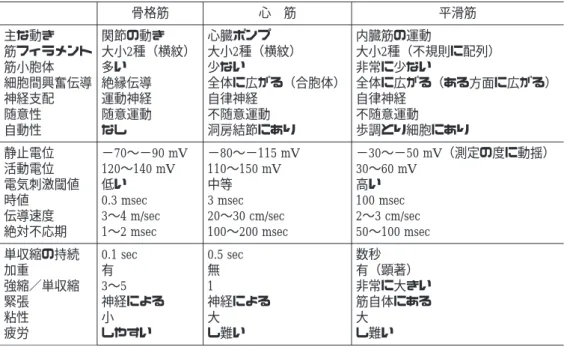 表 4-3 筋線維の分類と特徴