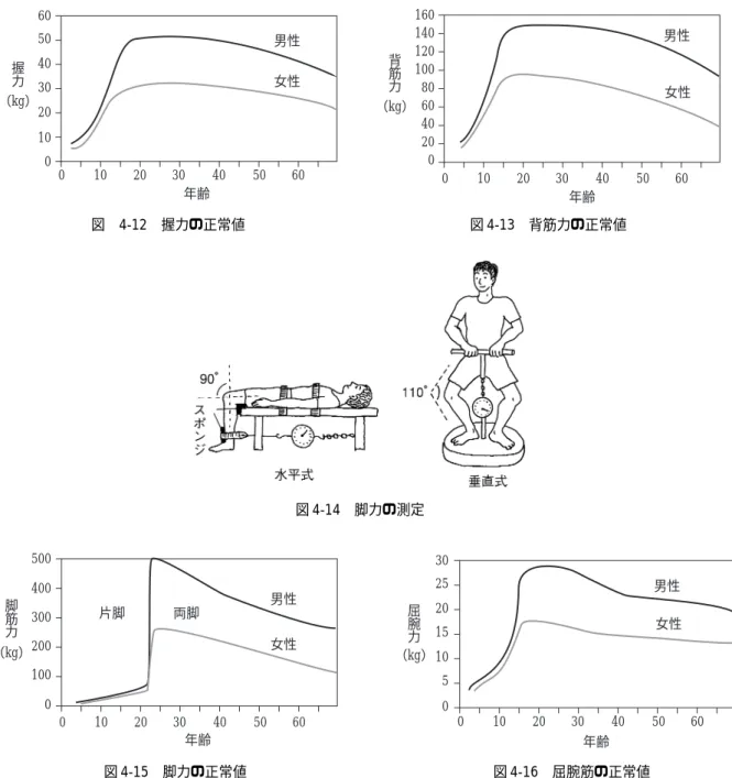 図 4-15 脚力の正常値 図 4-16 屈腕筋の正常値0 10 20 30 40  50  60年齢302520151050屈腕力（kg）男性女性0 10 20 30 40 50 60年齢5004003002001000（kg）脚筋力片脚両脚男性女性0 10 20 30 40 50 60年齢6050403020100握力（kg）男性女性0 10 20 30 40 50 60年齢160140120100806040200男性女性背筋力（kg）図 4-12 握力の正常値図 4-13 背筋力の正常値図 4-14