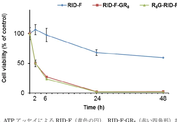 図 3-4.  ATP アッセイによる RID-F（青色の円） 、RID-F-GR 8 （赤い四角形）お よび R 8 G-RID-F （緑色の三角形）添加濃度 10µM での KMS-11 細胞生存率の時 間依存性。擬似処理細胞の生存率を標準（100％）として用いた。結果は、3 回 の独立した実験の平均±SEM である。 
