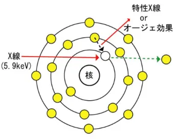 図 2.1: 光電効果 2.1.2 コンプトン散乱 物質中の電子と入射光子が散乱を起こしたとき、エネルギー (光子) の一部を電子に与えること により、この電子が物質中で電離を起こしエネルギーに応じた電子を生成する。この時、エネル ギーと運動量の保存則から、入射光子のエネルギーを E、散乱光子のエネルギーを E ′ とすると、 式 2.1 のようになる。 E ′ = 0.51