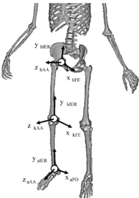 Figure 4 Deˆnition of pelvis, upper torso and trunk twist angle.作の動作時点を5つに分けた．本研究では，MKHからSFCまでを第1局面，SFCからRELまでを第2局面とした．各局面については，所要時間をそれぞれ100とし，3次スプライン関数を用いてすべてのデータを規格化し た ． そ の た め ， 規 格 化 時 間 は ，MKHが0time, SFCが100time, RELが200timeとした．なお，投球動作中の地面反力は，軸脚