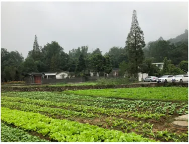 図 1.  竹里道明村風景  図 2.  竹里道明村の竹工芸  (2-2)デザイン力を重視する幸福公社    道明竹芸村の近郊に、幸福公社という企業が中心になって開発した村がある。ここは 2008 年の四 川大震災で被災し、幸福公社はその復興を目的として設立された民間企業である。震災からの復興は 巨大な宅地開発事業としての要素を持つ。第一段階の投資で住宅を建て、第二段階の投資で商業施設、 別荘、ホテルなどを建設し、第三段階の投資で農業基地へのテコ入れを行い、同時にスポーツ施設、 図書館、医療センターなどのイ