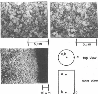 Fig.  9.  SEM  micrographs  of a  cast  body  at  (a)  near  the  top,  (b)  near  the  bottom  and  (c)  near  the  periphery  in the  55%-mold  sys tem.