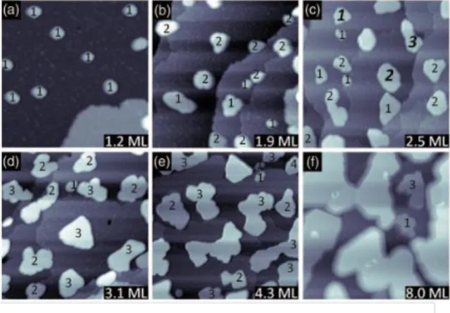 Figure  10. Schematic  views  of  Pb  adsorption  sites  (white  dots)  projected  on the CcIFP, for (a) the first layer, (b) the  initial stage of the second layer and  (c) the completed second layer