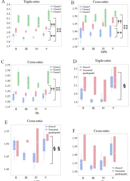 Fig 4. Comparisons of triple- and cross-ratios in the hand skeletons of primates. Box plots of the triple- and cross- cross-ratios of the hand skeletal structures
