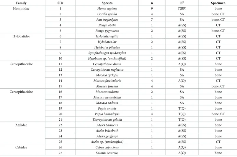 Table 1. Primate species measured in this study.