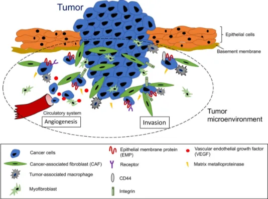 Figure 1. Schematic representation of the tumor microenvironment in cancer progression