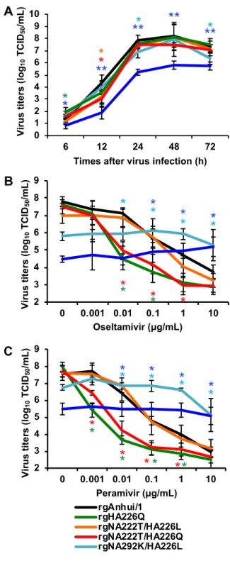 Fig 1. Replication and sensitivity to anti-viral drugs of variant viruses carrying NA222T, NA292K, and  HA226Q in MDCK cells.
