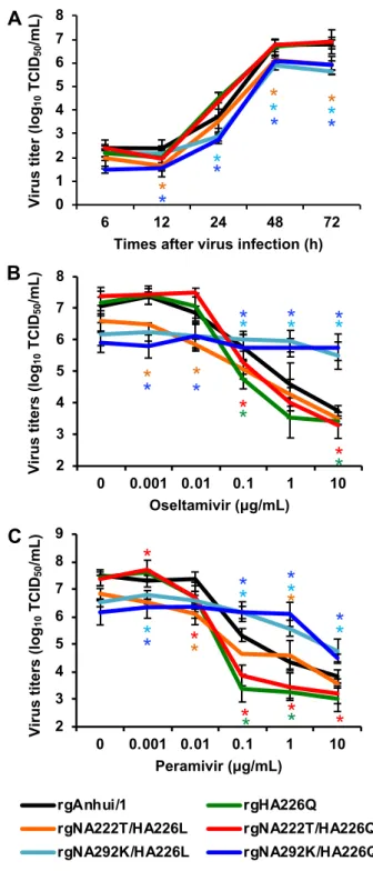 Fig.  S1. Replication and sensitivity to anti-viral drugs of variant viruses A549 cells.