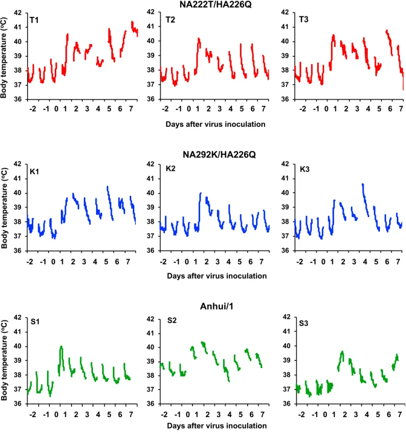 Fig. S2. Body temperatures of macaques infected with NA222T/HA226Q and NA292K/HA226Q viruses.