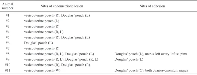 Table 7.  Sites of endometriotic lesion and adhesion 11 to 12 months after the initial laparoscopy.