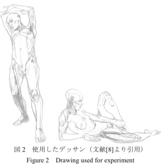 Figure 2    Drawing used for experiment 