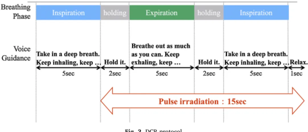 Fig. 4. Representative DCR images during maximum inspiration and maximum expiration.