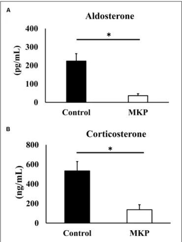 FIGURE 8 | Serum corticoids in SHRSP/Izm rats. The concentration of aldosterone (A) and corticosterone (B) are represented in each bar as mean ± SEM