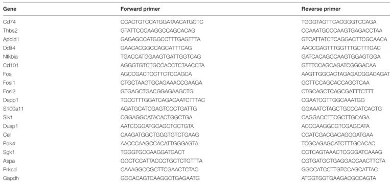 TABLE 1 | The primers used in this study.
