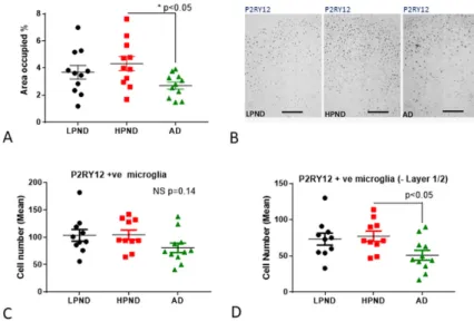 Figure 4. Quantitative measurements of P2RY12 immunoreactive structures in human brain tissue  sections