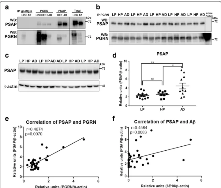 Fig. 7 Biochemical analysis of interactions of progranulin and prosaposin in MTG brain samples