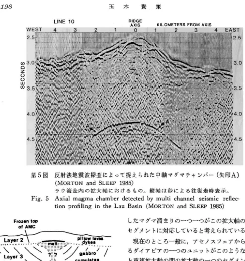 Fig.  5  Axial  magma  chamber  detected  by  multi  channel  seismic  reflec- reflec-tion  profiling  in  the  Lau  Basin  (MORTON  and  SLEEP  1985)