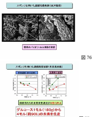 図 73  それならということで、スポンジを発酵槽内に 入れて、連続培養を行いました(図 73)。そうする と培養前は綺麗なスポンジも微生物が一杯くっ ついて住みかになり（図 74）、それを電子顕微鏡    図 74  で見ますと、スポンジに微生物がぎっしりくっつ くようになります(図 75,76)。たとえばこの場合も バイオフィルムを作って、この小さな点々が細胞 一つ一つに相当するということで、培養液中に沢 山の微生物を保持することが出来ました。    図 75    図 76 図77 たとえば、図 77