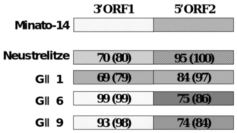 図 17  Minato-14  の  naturally occurred recombination  の可能性 