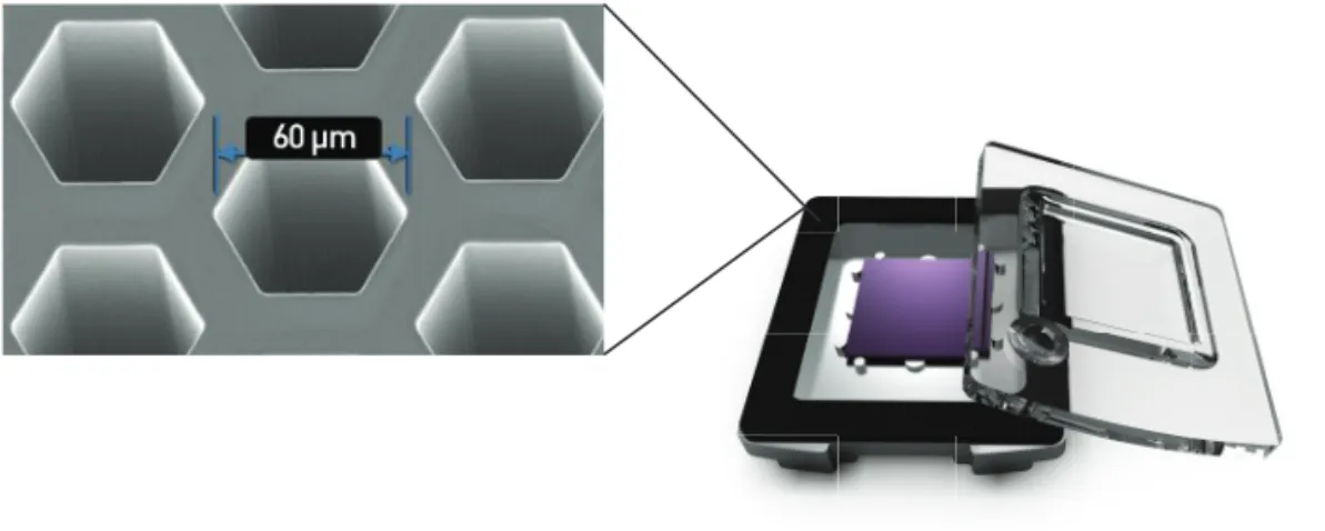 図 3. QuantStudio ™  3D  デジタル PCR 20K チップ。各チップには均一なサイズの 20,000 個の反応ウェルがあり、最適化されたローディングが可能です。この数 は 1 つのサンプルには十分な数です。 1 サンプル / チップなのでもう 1 回のランに十分なサンプル数が集まるまで待つ必要はありません。 信頼性の高い絶対定量 QuantStudio ™  3D  デジタル PCR システムによって算出 されたそれぞれの答え（ copies/µL ）に対して、データ品 質の評価が行わ