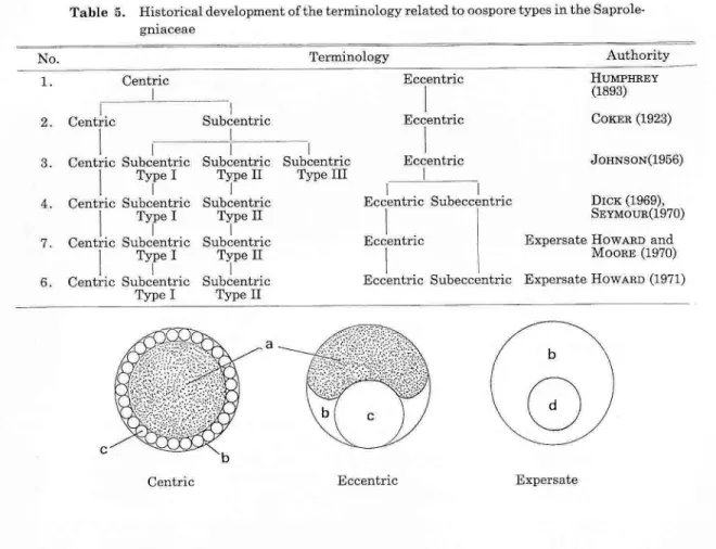Table  5.  Historical  development  of  the  terminology  related  to  oospore  types  in  the  Saprole- Saprole-gniaceae