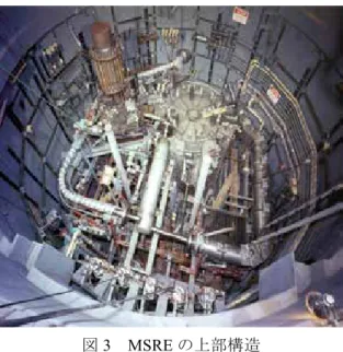 図 3 MSRE の上部構造