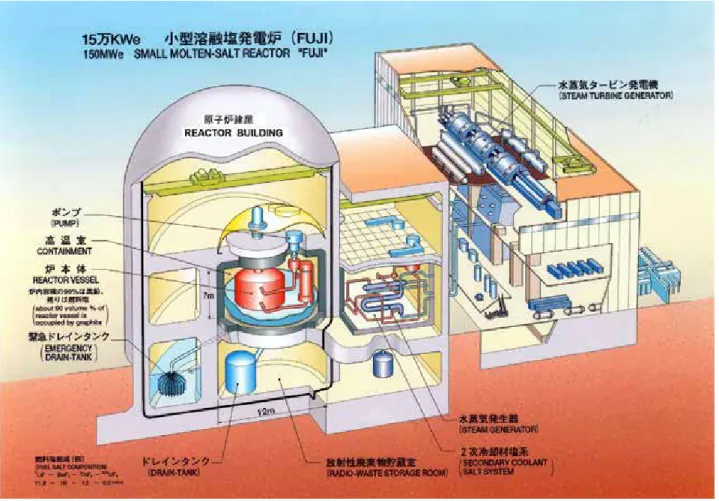 図 4   小型熔融塩炉 FUJI の鳥瞰図 また， Pu の生成量は軽水炉の 1/1000 以下であり， 長寿命の超ウラン元素（ Np ， Am ， Cm ）の生成も 軽水炉の 1/25 であることを示した．現在，米国の 革新炉では小型モジュール炉（ SMR ）が主流であ り，我々が小型炉をメインにした理由も，世界市場 への早期展開を図るためである．但し，電気出力が 数万 kWe の超小型炉や， 100 万 kWe の大型熔融塩炉 の概念設計も実施しており，広い市場のニーズに応 えられるよう，検討を進めて