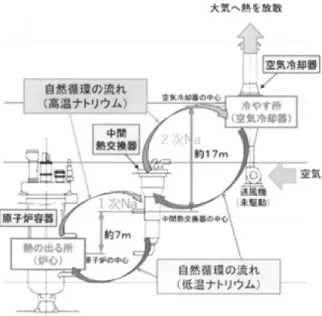 図 4 　高速増殖炉の受動安全性のシステム図4高速増殖炉の受動安全性のシステム 小型モジュール炉の受動安全性が注目されている． 図 5 にニュースケール・パワー社製の小型モジュー ル炉を示す． 5） 原子炉の電気出力は 50MWe で，炉 の形式は加圧水型軽水炉である．  図 5 ニュースケール・パワー社製  の小型モジュール炉 モジュールの下部に設置された炉心での発熱は周 囲を自然循環する加圧水に伝えられ，この熱が上部 に設置された蒸気発生器に導かれて，ここで高圧の水蒸気を発生させる．この水蒸気が外部の蒸
