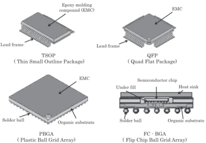 Fig. 1 　Standard package structure.