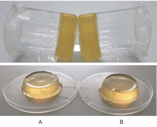 Fig. 2.   Gelation of pectin with 40%(w/w) sucrose. 