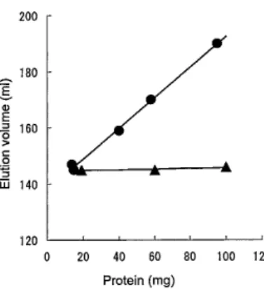 Fig. 4.  Relationship between amount of protein applied on a column and  elution volume of low molecular weight gliadin
