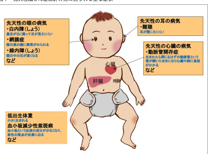 図 1 　先天性風しん症候群の児に見られる主な症状 ◦ … 予防接種の推奨 　風しんは、風しんウイルスを含んだ飛まつ（咳やくしゃみ、会話、発語などで飛び散るしぶ き）を吸い込んで感染する。発症予防には風しんの予防接種が極めて有効である（手洗いやマ スクの装着は、十分な風しんの予防手段とは考えられていない）。 　　　 2　定期接種を受けていない性・年代の存在 ◦ … 昭和54年 4 月 1 日以前生まれの男性は 1 回も風しんの予防接種を受けていない 　我が国においては、図 2 に示すように、男女別・年代別で