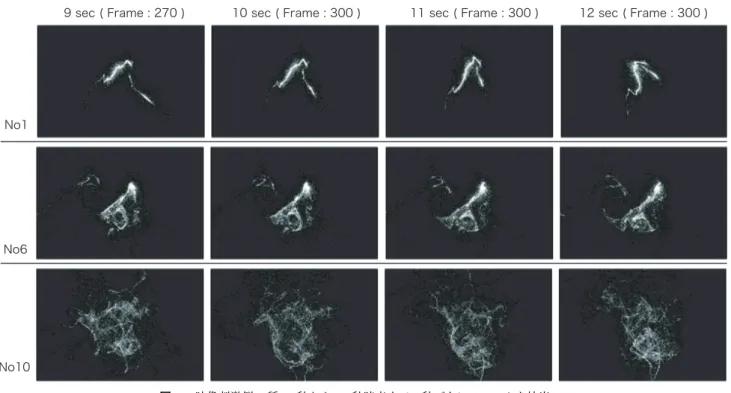 図 2 映像刺激例 3 種 , 9 秒から 12 秒時点まで一秒ごとにフレームを抽出
