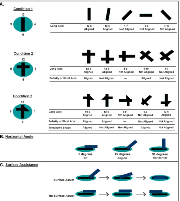 Fig 3. Illustrations of dependent variables for alignment of the sticks. (A) Alignment of the long and asymmetrical portions of the stick
