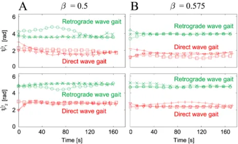 Fig 9 shows the relative phases (ψ1, ψ2) of the converged gaits for β where the data points of the robot experiments are the average values from three gait cycles after the robot walked for over two minutes for each trial