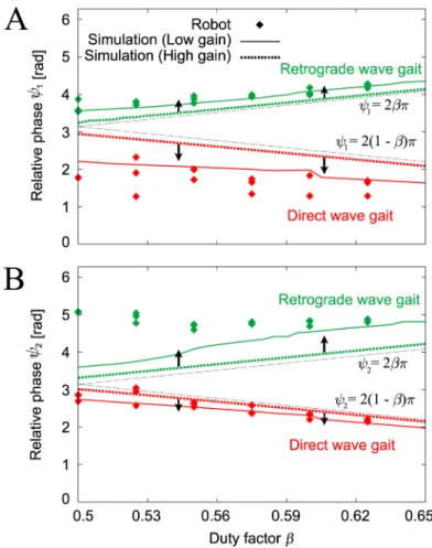 Fig 9. Relative phases (A) ψ 1 and (B) ψ 2 of the gaits obtained for duty factor β in the robot experiments and the computer simulations