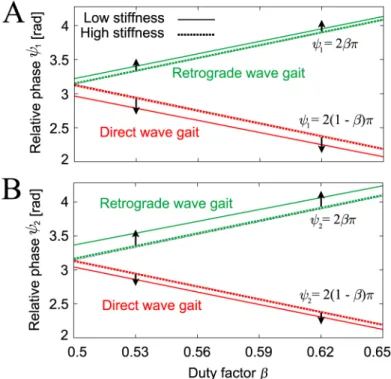 Fig 11. Relative phases A (ψ 1 ) and B (ψ 2) of the direct and retrograde wave gaits from the simple model