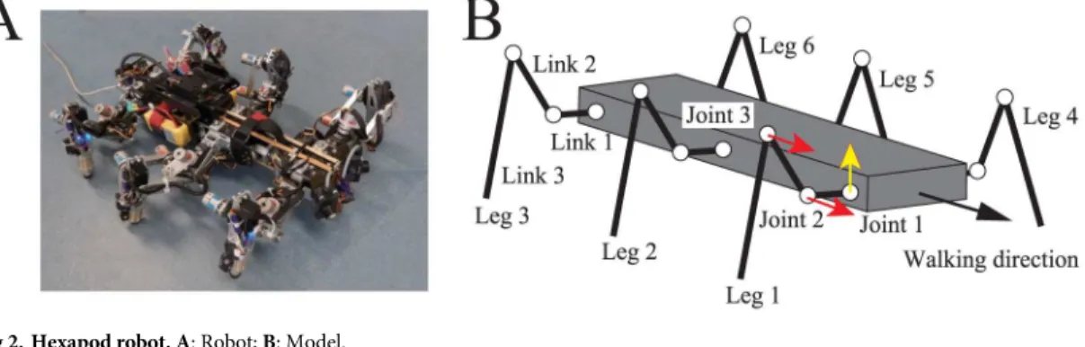 Fig 2. Hexapod robot. A: Robot; B: Model. https://doi.org/10.1371/journal.pone.0192469.g002