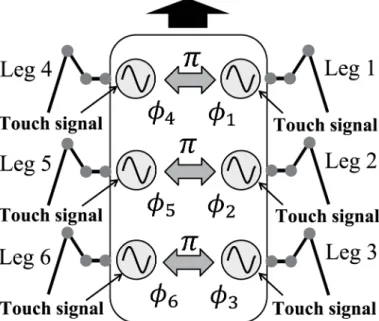 Fig 3. Locomotion control system using phase oscillators. Each oscillator controls the movement of a single leg.