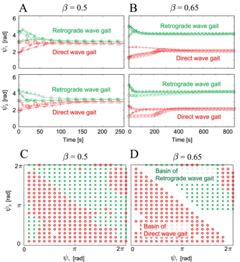 Fig 5. Relative phases (ψ1, ψ2) of the robot simulation plotted at the foot contact of Leg 2 and the basins of attraction