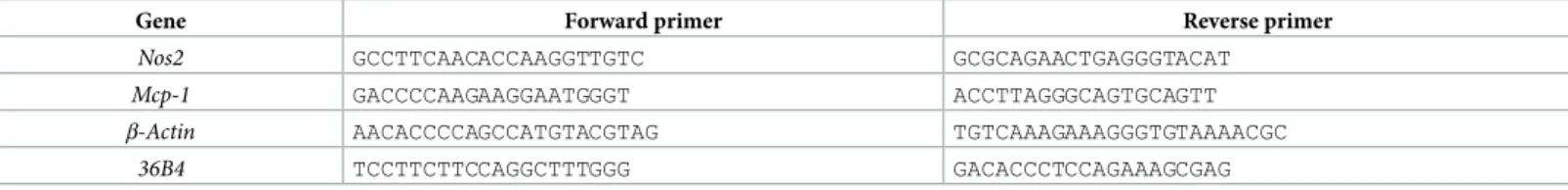 Table 1. Oligonucleotide primers used for mRNA analysis.