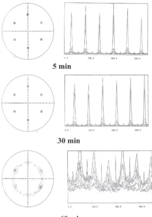 Fig. 3.2.8   X-ray pole figure measurement of GaN  films  on  Si  substrates  nitridated  at  600℃ for 5-60 min.キング曲線の半値幅をプロットしたものである．図 より窒化時間の増加に伴い，X線回折線がブロード となり，さらに回折強度も低下していく．また，ロッ キング曲線の半値幅も窒化時間の増加に伴い，悪化 した．同じ試料をX線極点測定により面内に結晶の 回転ドメインが含まれるか測定を行った．測定結果
