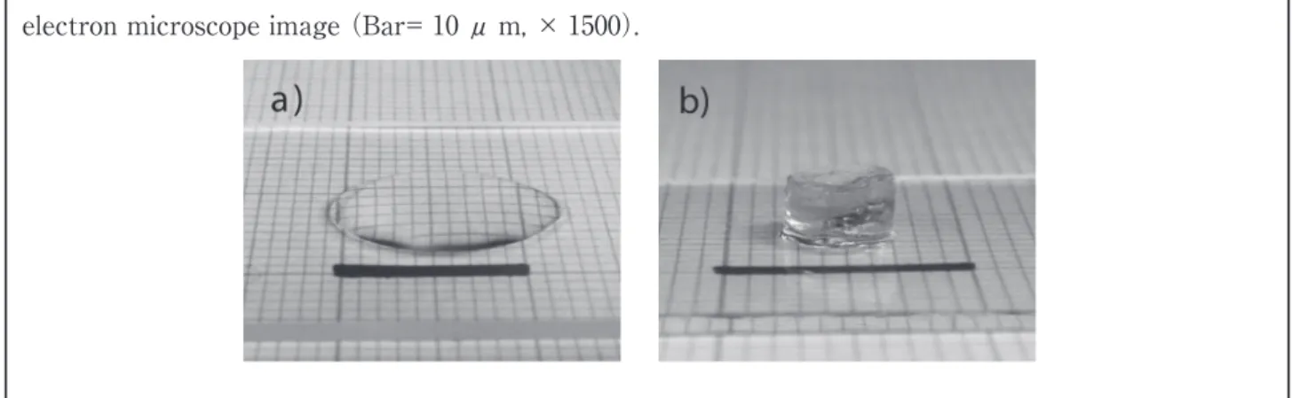 Figure １ Photograph of RAD16RGDS peptide sponge. a） stereoscopic microscope image, b） Scanning  electron microscope image （Bar= 10 μ m, × 1500） .