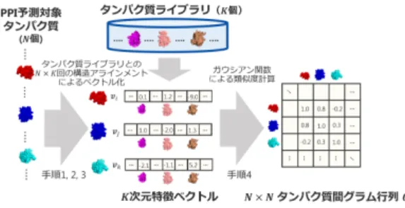 Table 1 Comparison of Hue et al. and proposed method 既存手法 提案手法 N 個のタンパク学習時 N (N − 1)/2 N K M 個の新規タンパク質予測時 M (N + M )/2 M K らに，タンパク質間グラム行列作成のときに RBF カーネ ルを用いることで，半正定値行列を作成することが可能で あり，学習データセット中に含まれない新規タンパク質予 測時にグラム行列の再計算が不要である．そのため，提案 手法では学習済みの学習器を用いて PPI 予測