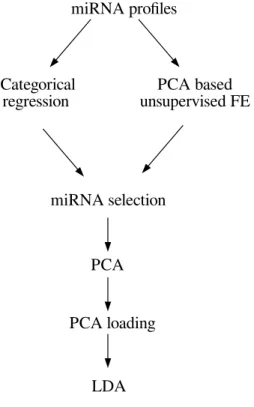 Fig. 1 Data analysis flow in this study. PCA: principal com- com-ponent analysis, LDA: liner discriminat analysis.
